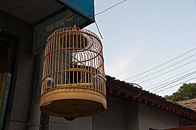 接近照片级画质 《极速骑行4》PS5版第一视角回放演示